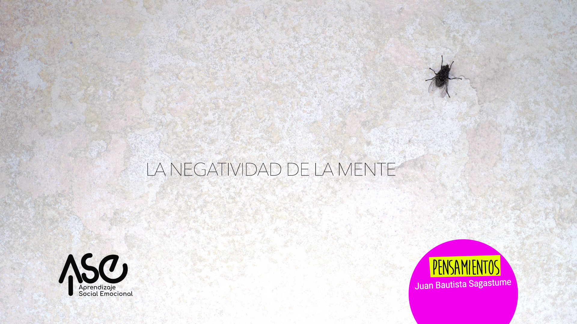 La Negatividad de la Mente